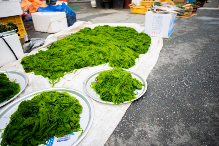 완도 오일장에 나온 감태