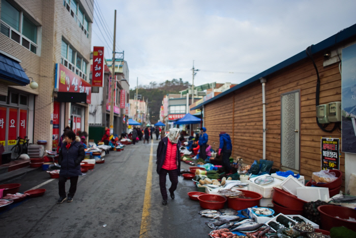 지금 완도 오일장은 푸른빛으로 넘실댄다.