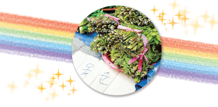 ‘봄나물 제왕’ 옻 순…보이거든 바로 사세요 양양 오일장은 지금 제철을 맞은 온갖 두릅의 향연장이다. 그중에서도 두릅계의 ‘초희귀템’ 옻 순은 보는 즉시 챙겨먹어야 할 봄나물의 제왕이다. 쓴맛 뒤에 청량한 단맛, 고소한 맛까지 어우러진 옻 순은 연중 며칠만 맛볼 수 있다.