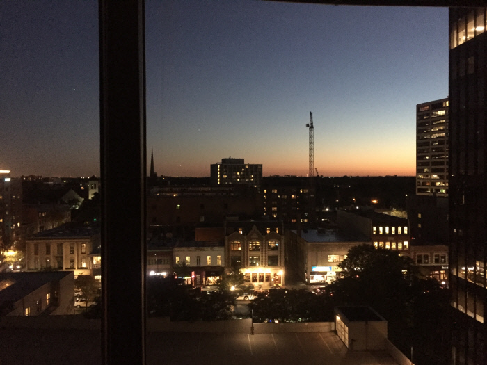 한국의 환한 백색 전등에 익숙해져 있던 나에게 은은한 무드등뿐인 미국의 저녁은 당황스러울 정도로 어두침침했다. 낮에는 일하고 밤에는 휴식하는 단순한 삶에 익숙해지니 그 어둠이 편안해졌고, 전보다 훨씬 가족과 연구에 몰입하는 삶을 살게 되었다. 이대한 제공