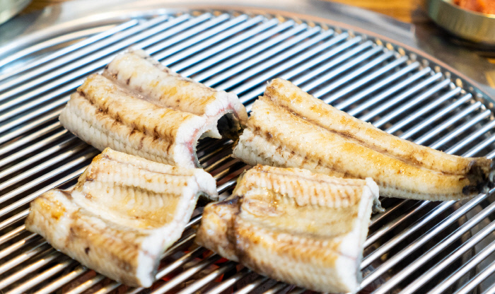 육질이 쫀득한 갯벌장어.