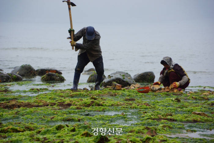 소안도. 강제윤 섬연구소장 제공