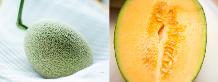 최근 양구에서 생산되는 ‘하미과’ 멜론은 후숙 없이 냉장고에 두었다가 바로 먹어도 아삭한 단맛이 일품이다.