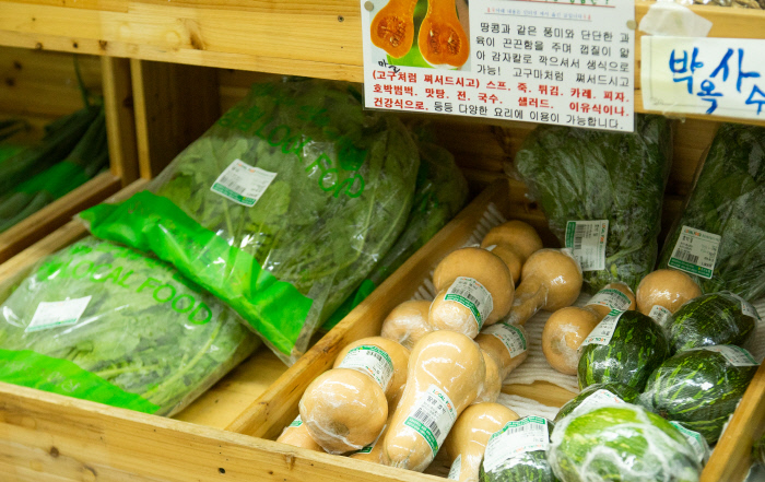 땅콩 닮았다는데 조롱박처럼 보이는 ‘땅콩호박’