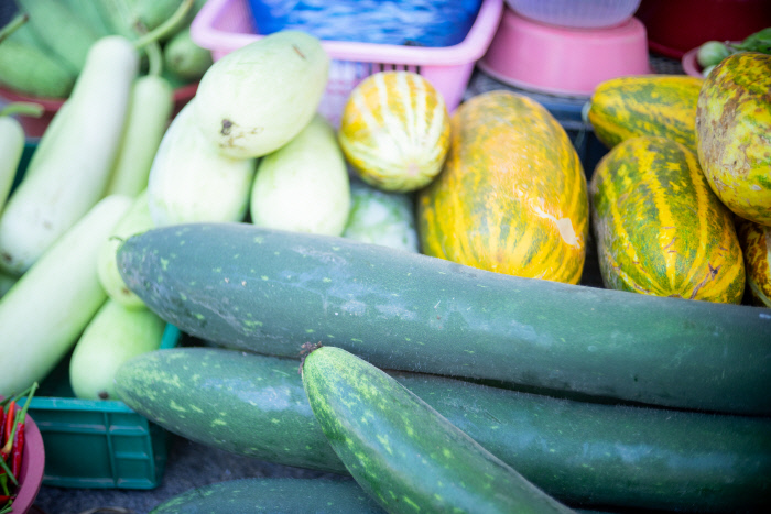 박도 아니고 늙은 오이도 아닌 ‘베트남호박’
