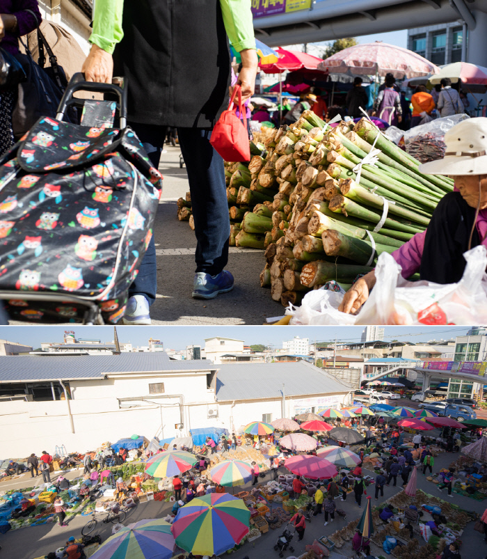 안동 신시장의 오일장(아래 사진)은 매월 2·7일에 열린다. 이른 아침부터 시장을 둘러싸듯 사람과 농산물이 그득 들어찬다. 요즘 시장엔 토란이 가장 눈에 많이 띈다. 토란대(위)는 두고두고 먹기 좋은 재료다.
