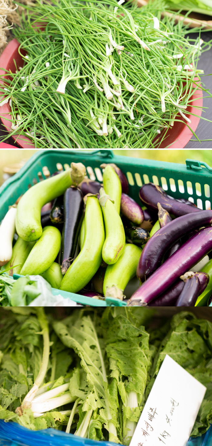 영양부추·실부추라고도 불리는 재래종 솔부추, 양평의 직거래 장터에서 볼 수 있는 다양한 색의 가지와 개성배추(위 사진부터).
