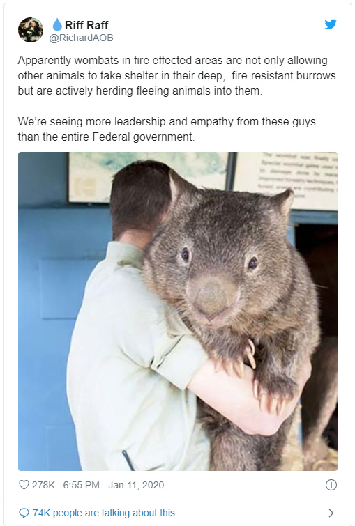 한 네티즌은 “웜뱃의 이야기는 우리의 연방 정부 전체보다 더 큰 리더십과 공감을 얻고 있다”라고 전했다. 트위터 갈무리.