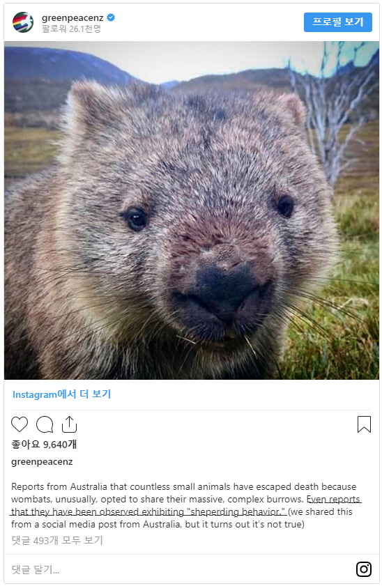 그린피스 소셜미디어 갈무리.