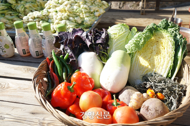 장회정 기자·경향신문 자료사진