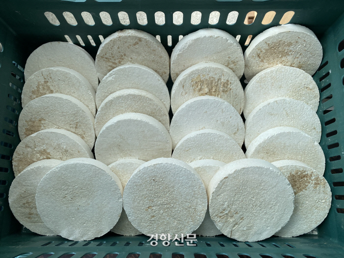 쌀을 넣어 만든 누룩 백곡. 누룩으로만 만든 조곡과 달리 빛깔이 하얗다.