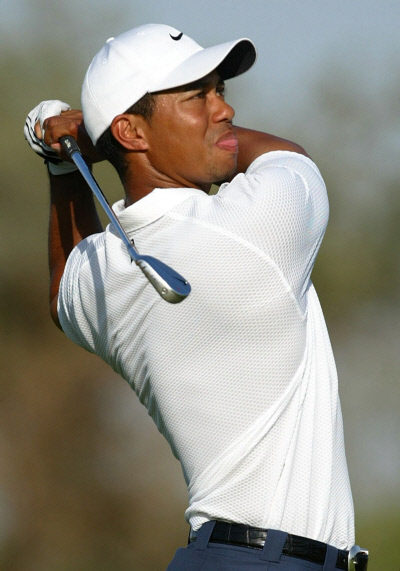 로리 매킬로이, 타이거 우즈(위부터)