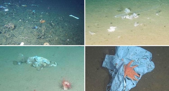 마리아나 해구의 깊이 1만 m 심해에 가라앉은 플라스틱 쓰레기 잔해.