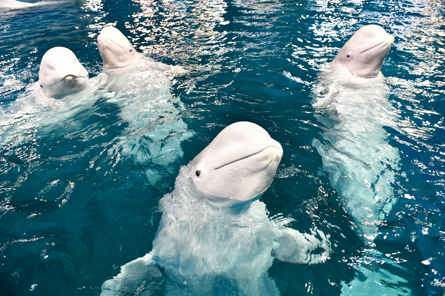 사진=신화통신 연합뉴스