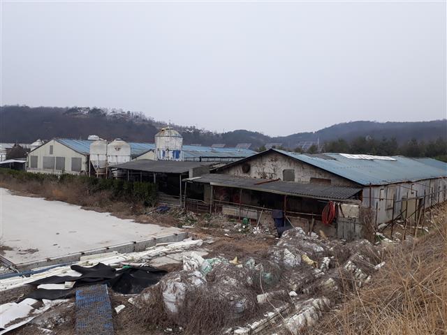 군위군 군위읍 내량리 종합운동장 조성 예정부지 내의 D돼지사육농장. 이 농장이 2016년 보상을 받고도 이전을 계속 미루는 바람에 종합운동장 조성 사업이 지금까지 지체되고 있다.