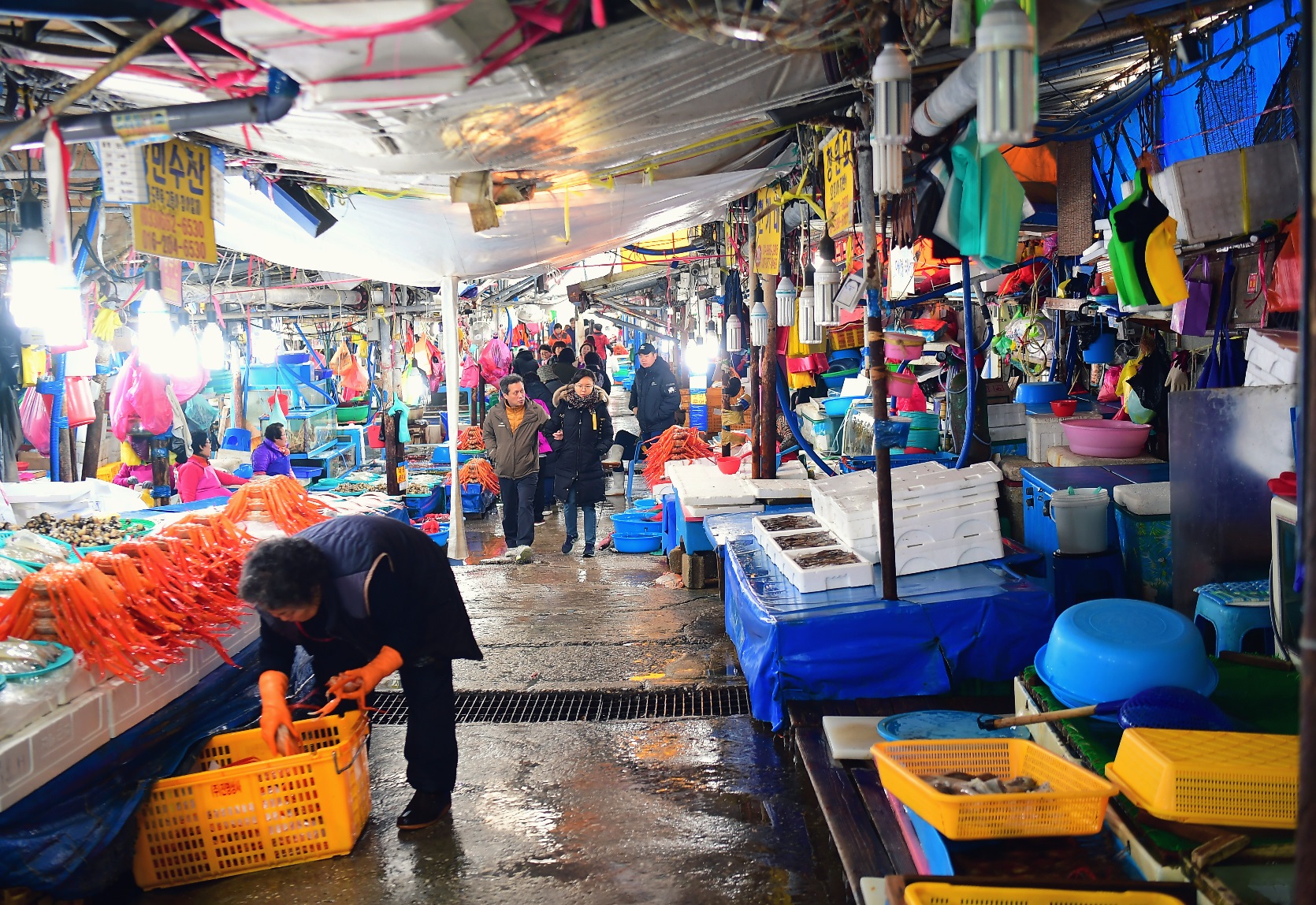 주문진수산시장.