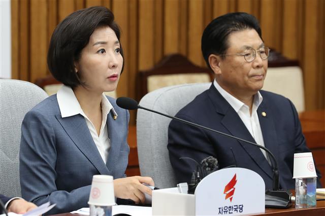 발언하는 나경원 원내대표 - 나경원 자유한국당 원내대표가 6일 오전 서울 여의도 국회에서 열린 원내대책회의에서 모두발언을 하고 있다. 2019.8.6/뉴스1