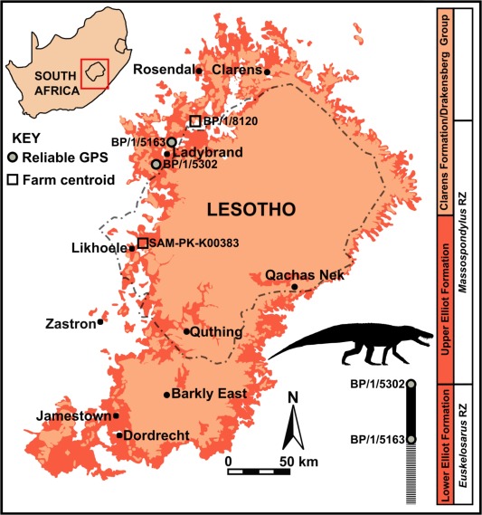 연구진은 남아프리카 엘리엇층 하부에서 발굴된 라우이수쿠스목 화석을 자세히 연구했다.(사진=아프리카 지구과학회지)