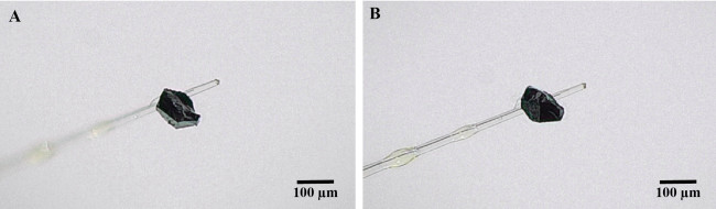 다이아몬드 내부에서 발견된 새로운 성분의 광물
