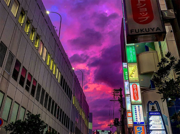 사진=@BlakeMist 트위터