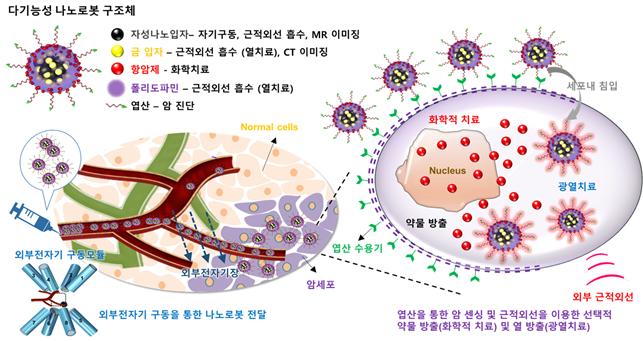 고형암 치료용 다기능성 나노로봇 개념도 - 전남대 제공