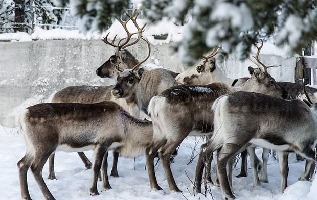 사진=AP 연합뉴스