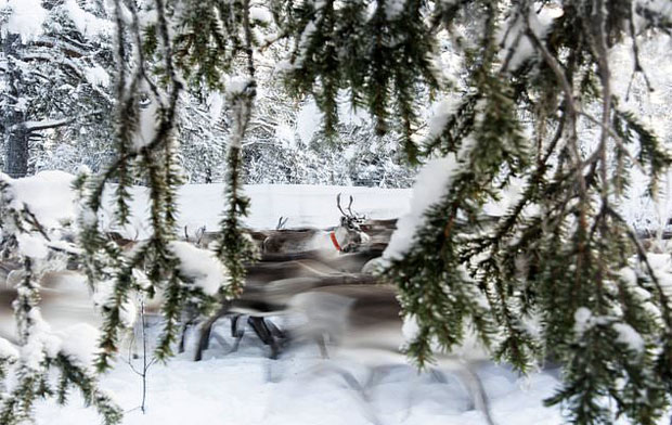 사진=AP 연합뉴스