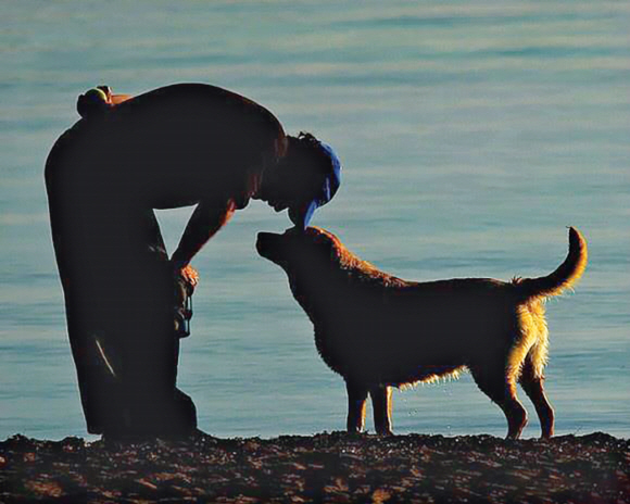 인간과 가장 친밀한 가축인 개는 공격성이 약한 늑대가 인간 집단과 교감하며 차츰 지금의 반려견으로 진화한 것이다.서울신문 DB