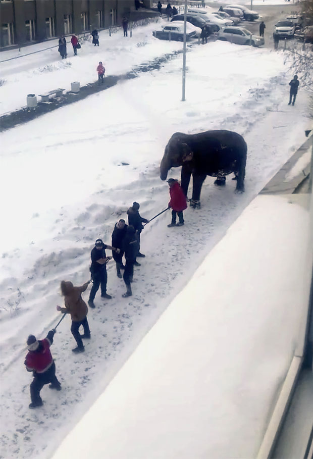 사진=AP 연합뉴스