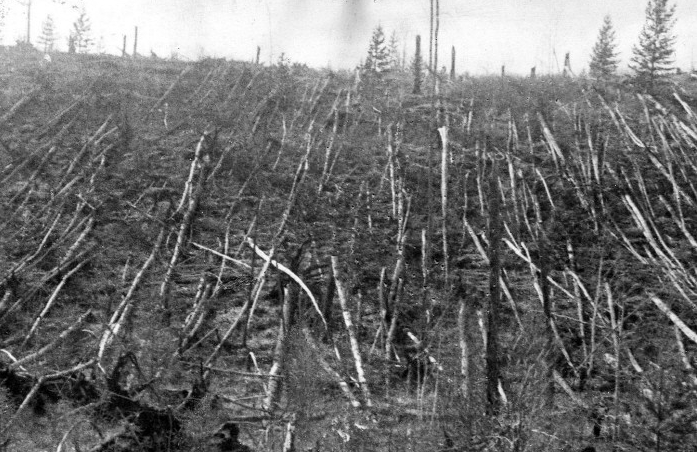 1908년 퉁구스카 대폭발로 황폐화 된 숲의 실제 모습