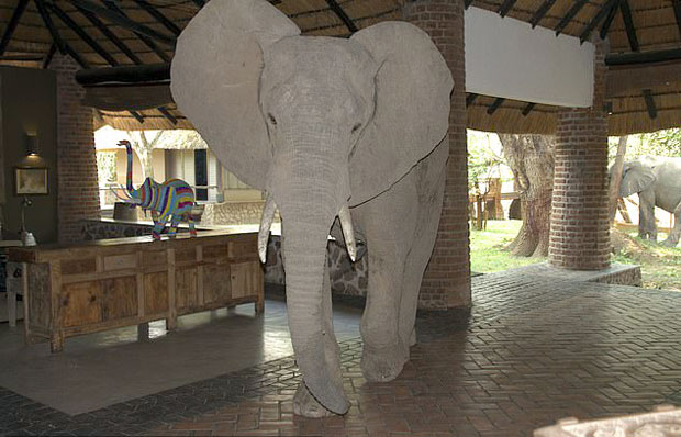 사진=아프리카 잠비아 음푸웨롯지