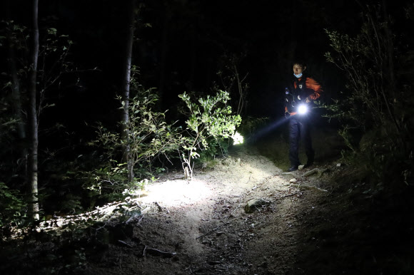 박원순 서울시장이 실종됐다는 신고가 경찰에 들어온 9일 밤 북악산 일대에서 특수대응단 소방대원들이 2차 야간 수색을 하고 있다. 2020.7.9. 연합뉴스