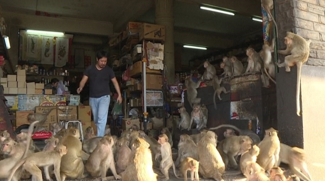 사진=AFP 연합뉴스