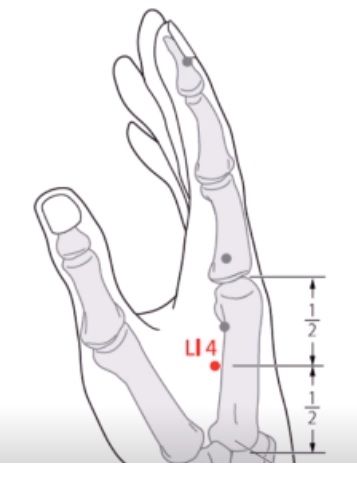 출처: 한의약융합연구정보센터 표준경혈