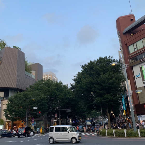 출처 문화뉴스, 도쿄 맛집-우동신, 이부키, 카멜백 샌드위치 앤 에스프레소, 교자로오, 이마카츠