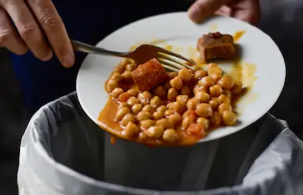 출처: Pixabay, '일반 쓰레기'와 '음식물 쓰레기' 구분기준과 헷갈리는 대표적 쓰레기 알아보기