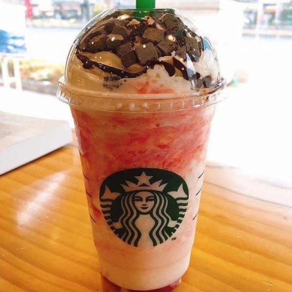 출처 : 데일리 라이프, 돼지바 프라푸치노스타벅스 시크릿 메뉴