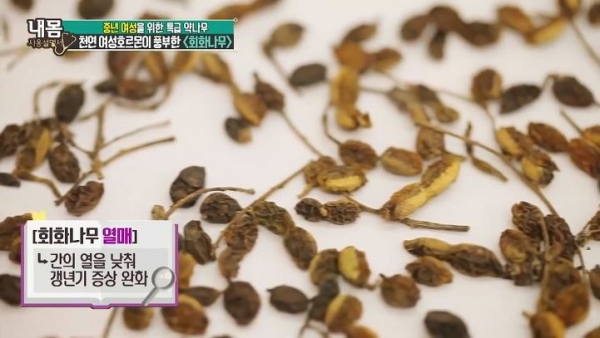 출처: 내 몸 사용 설명서, 회화나무열매차, 회화나무열매분말