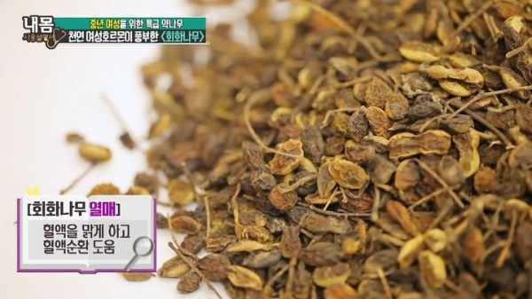 출처: 내 몸 사용 설명서, 회화나무 효능, 회화나무 부작용