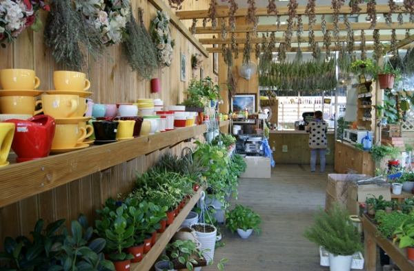 출처: 대한민국 구석구석 ㅣ[국내 온천 여행] 찬 바람 불면 생각나는 '온천 여행' 어디로 갈까? 석모도 미네랄 온천, 화성 하피랜드, 충주 수안보온천