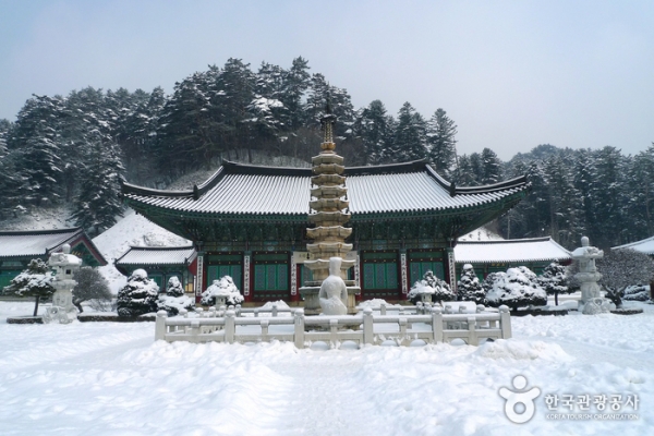 출처: 대한민국 구석구석 ㅣ  [국내 겨울 여행] 환상적인 설국으로 떠나자! 국내 설경 명소 TOP 4...오대산 월정사, 설악산, 대청호 오백리길, 소백산국립공원