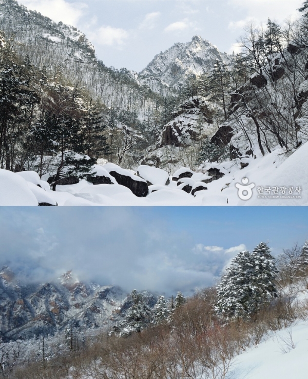 출처: 한국관광공사,설악산국립공원 사무소 ㅣ  [국내 겨울 여행] 환상적인 설국으로 떠나자! 국내 설경 명소 TOP 4...오대산 월정사, 설악산, 대청호 오백리길, 소백산국립공원