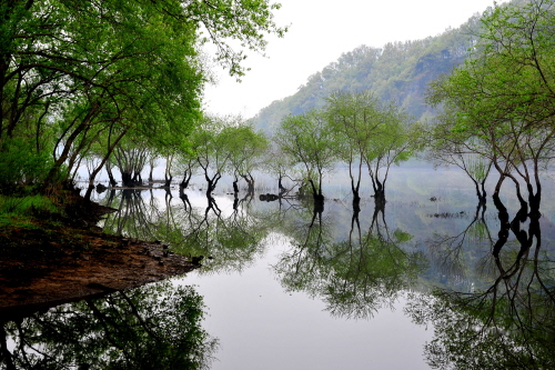 출처: 대한민국 구석구석 ㅣ  [국내 겨울 여행] 환상적인 설국으로 떠나자! 국내 설경 명소 TOP 4...오대산 월정사, 설악산, 대청호 오백리길, 소백산국립공원