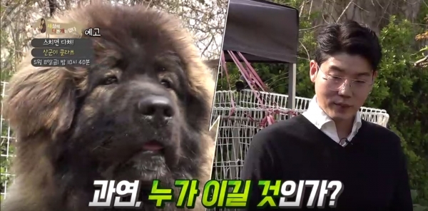 출처: EBS 세상에 나쁜 개는 없다, 산군이와 설채현 전문가