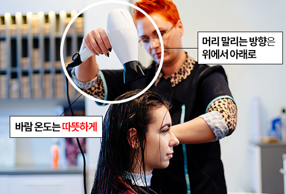 곱슬머리 차분하게 말리는 법/사진=게티이미지뱅크, 그래픽=이은 기자