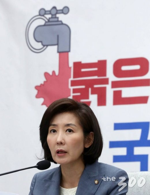 자유한국당 나경원 원내대표가 2일 오전 서울 여의도 국회에서 열린 붉은 수돗물 사태 토론회 '국민은 불안합니다'에서 발언하고 있다./사진=홍봉진 기자