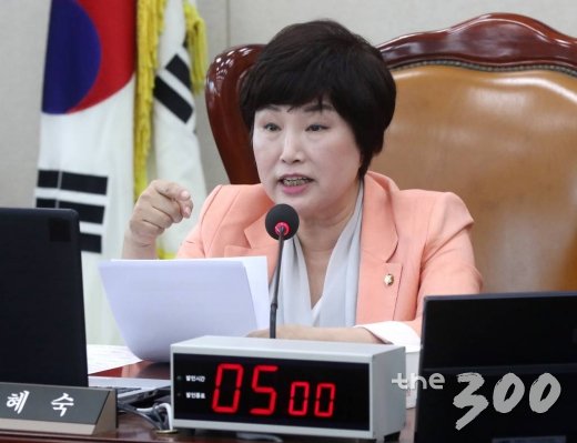 전혜숙 국회 행정안전위원회 위원장이 9일 오전 서울 여의도 국회에서 행정안전위원회 전체회의를 진행하고 있다./사진=홍봉진 기자