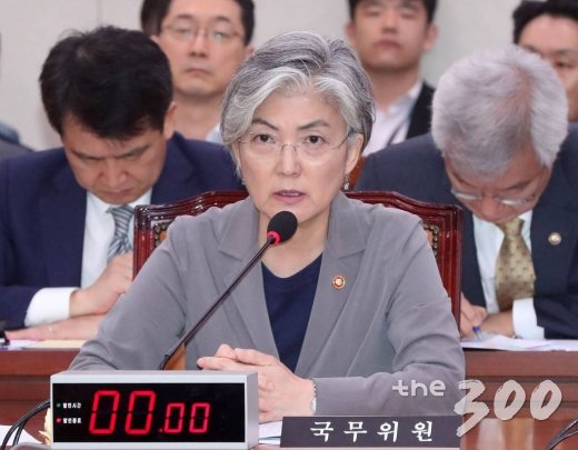강경화 외교부 장관이 30일 오전 서울 여의도 국회에서 열린 외교통일위원회 전체회의에서 의원들의 질문에 답변하고 있다./사진=홍봉진 기자
