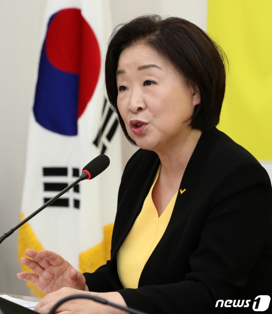 심상정 정의당 대표가 19일 서울 여의도 국회에서 취임 한달 기자간담회를 하고 있다. / 사진제공=뉴스1