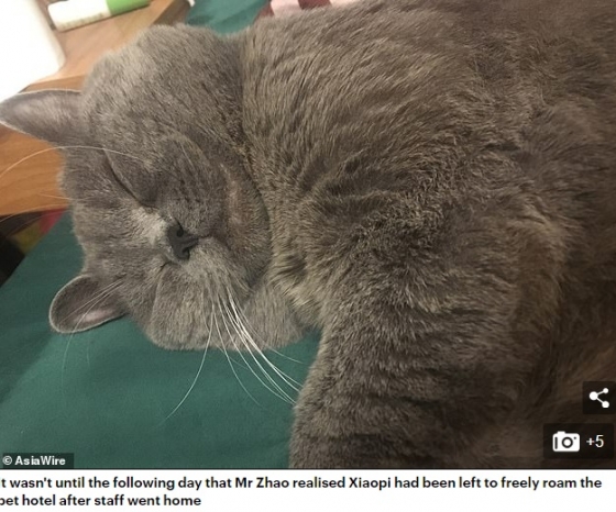 /사진 = 데일리메일 보도